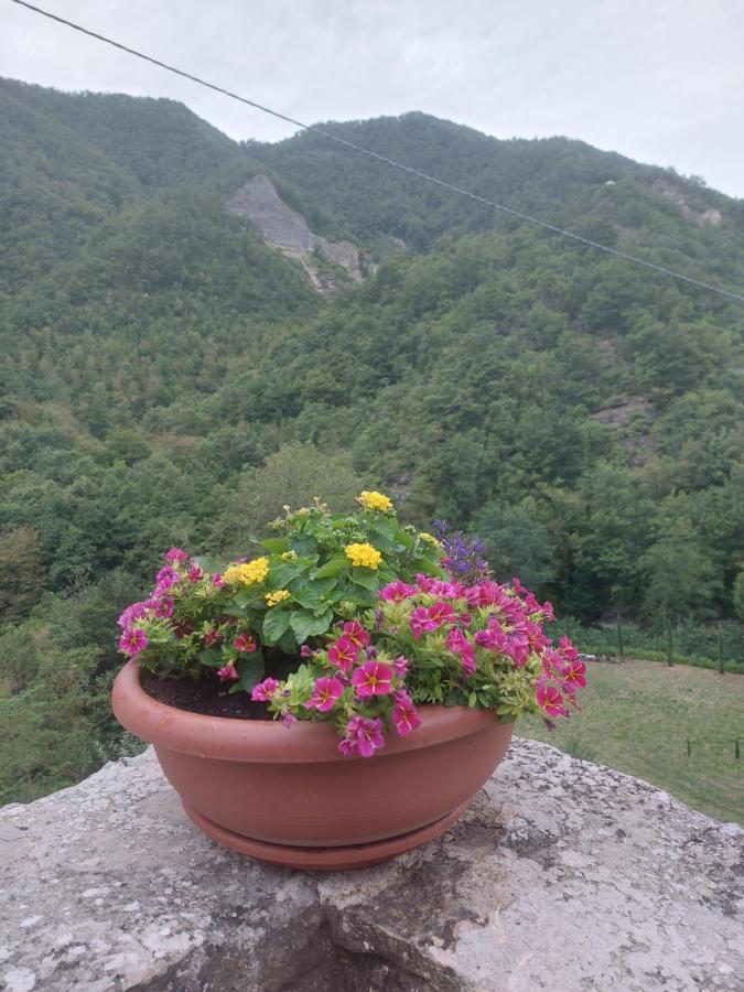 B&B Donnini Firenzuola Exterior foto